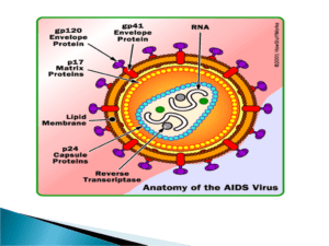 HIV (Human immunodeficiency Virus)