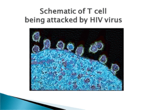 HIV (Human immunodeficiency Virus)