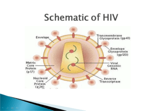 HIV